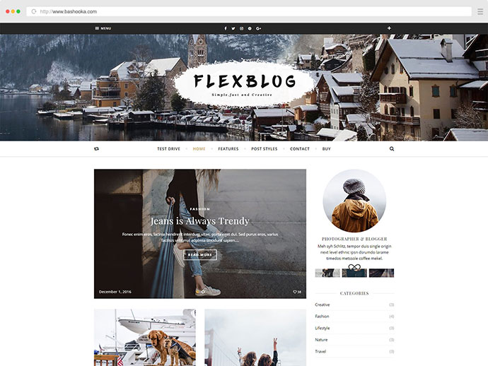Flexblog - Ein WordPress-Blog-Thema