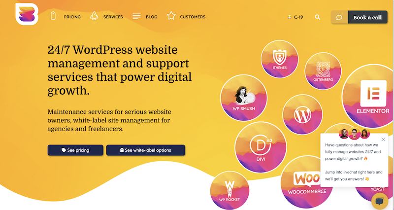 酷 WordPress 支持澳大利亚