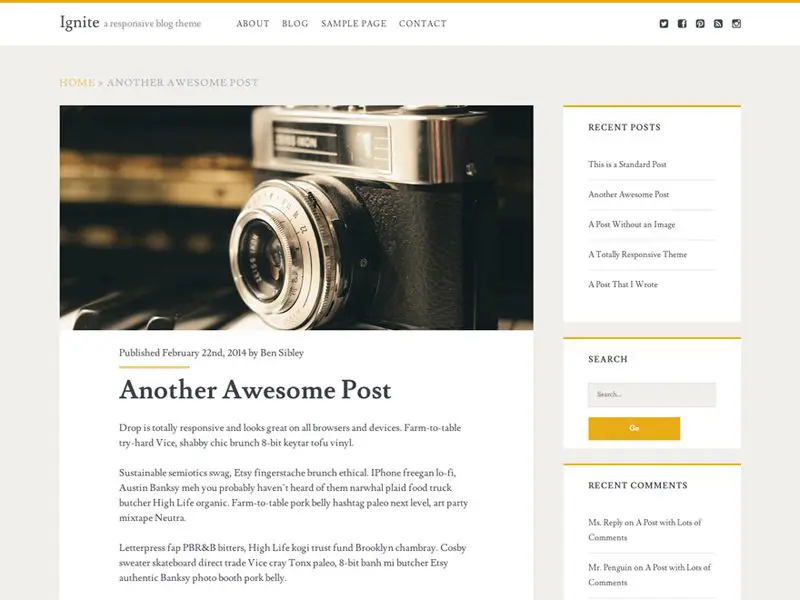 Zapal darmowy motyw WordPress na blogu