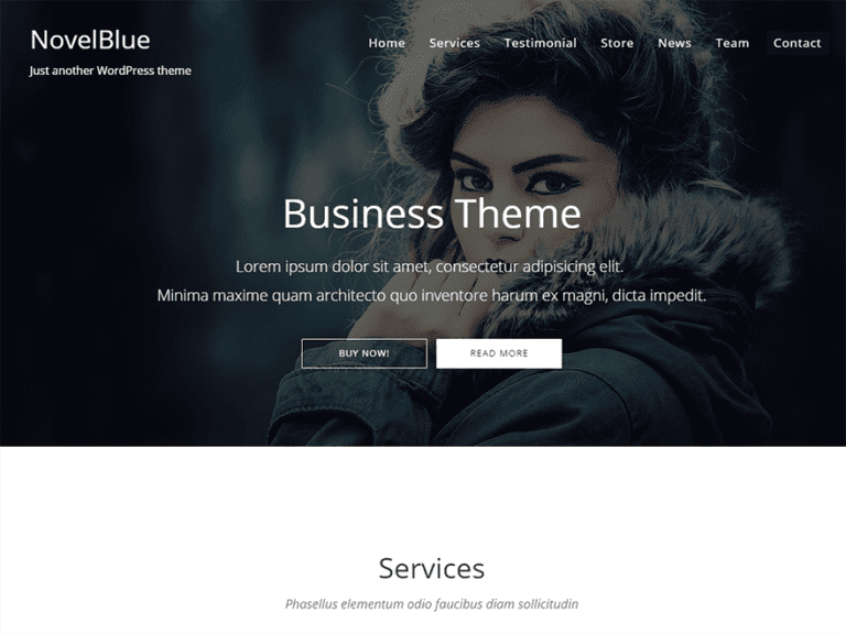 Darmowy motyw WordPress na blogu Novelblue