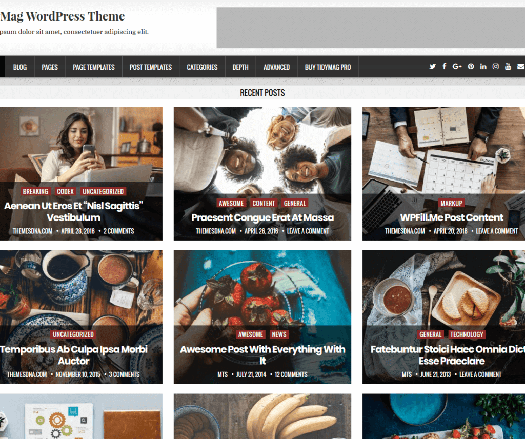 Tidymag Darmowy motyw WordPress do fotografii