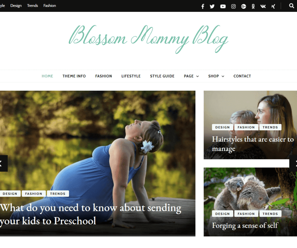Blossom Mommy Blog Fotografie gratuită Tema Wordpress
