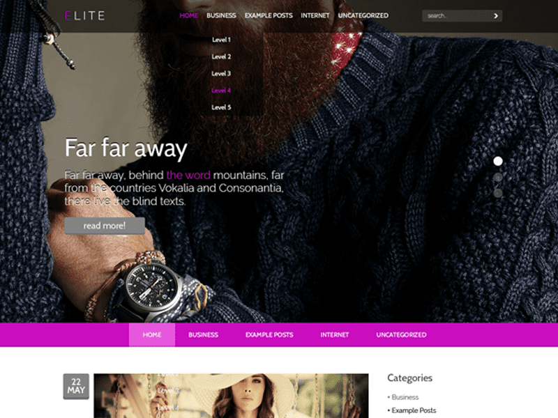 Elite Fashion Wordpress Tema gratuită