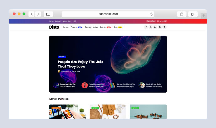 Disto - WordPress 博客雜誌主題