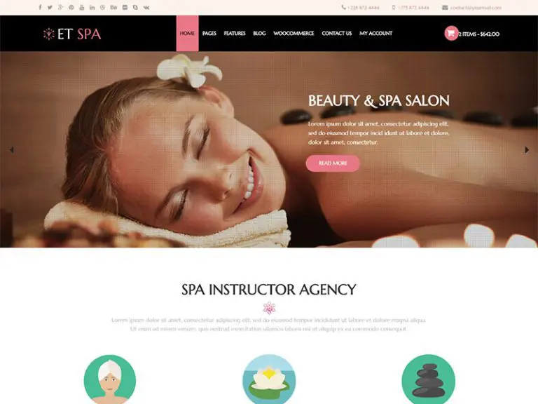 Tema Wordpress și spa