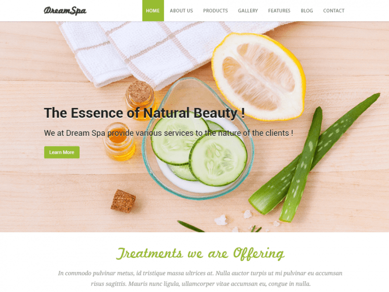 Dream Spa Fotografie gratuită Tema Wordpress