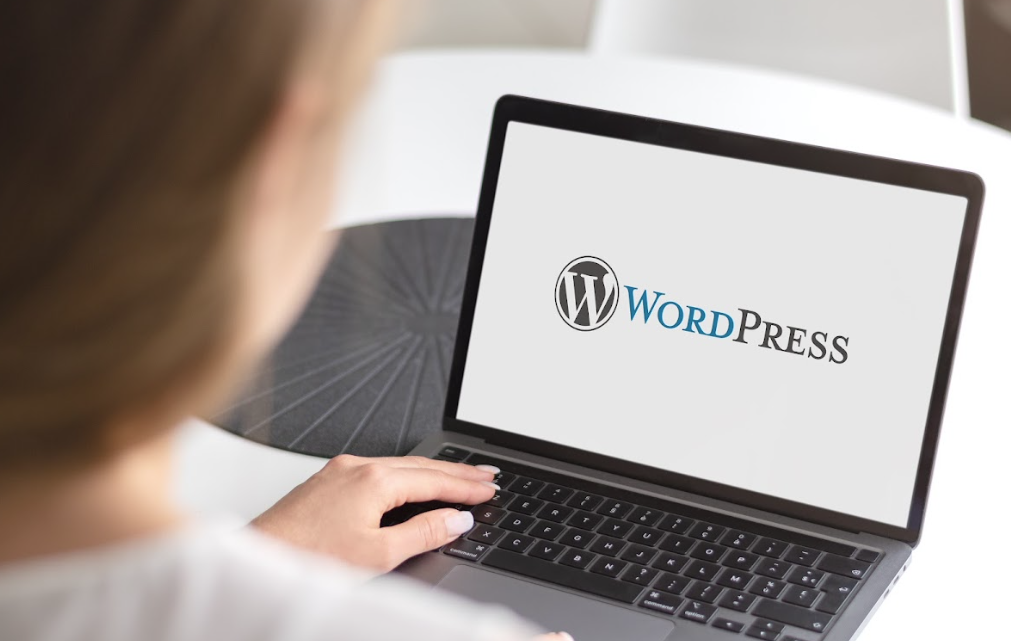 Como obter visitantes para o seu site WordPress através de um bom marketing digital