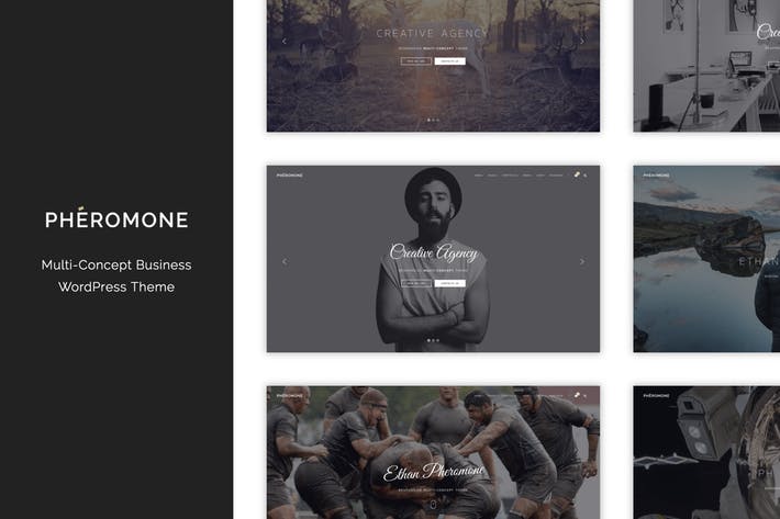 Feromone - Tema WordPress multi-concetto creativo