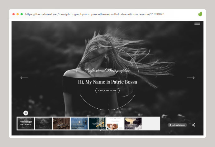 사진 WordPress 테마: 포트폴리오 및 전환: 파나마