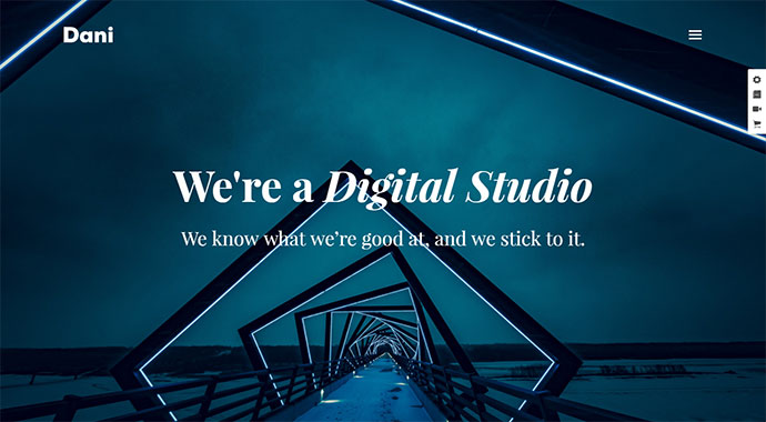 Dani - A Storming Portfolio & Shop WordPress Theme