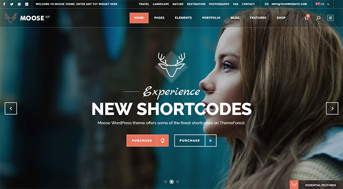 Moose - Tema multiuso creativo
