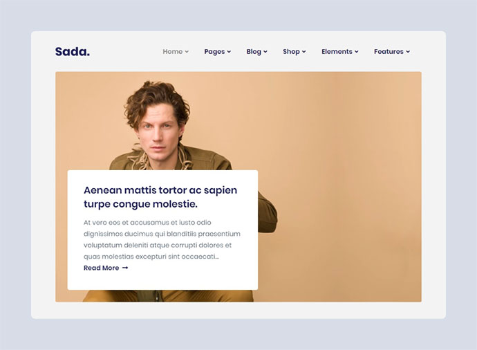 Sada - Un tema WordPress per blog e negozi