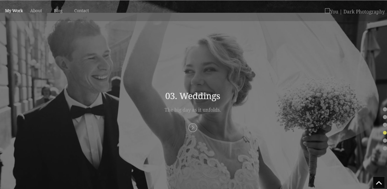 ePix, WordPress 사진 테마