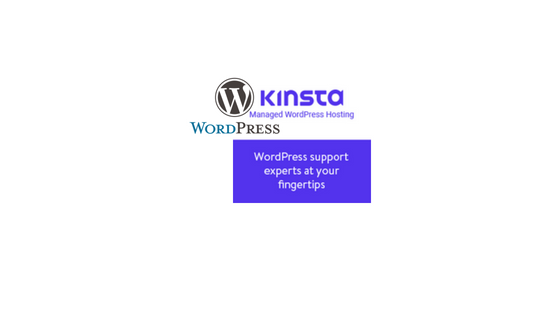 Kinsta 托管 WordPress 托管 Header image for Kinsta, Managed WordPress Hosting Service Review