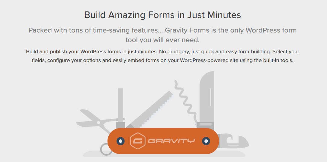 Gravity Forms WordPress 문의 양식 플러그인 이미지
