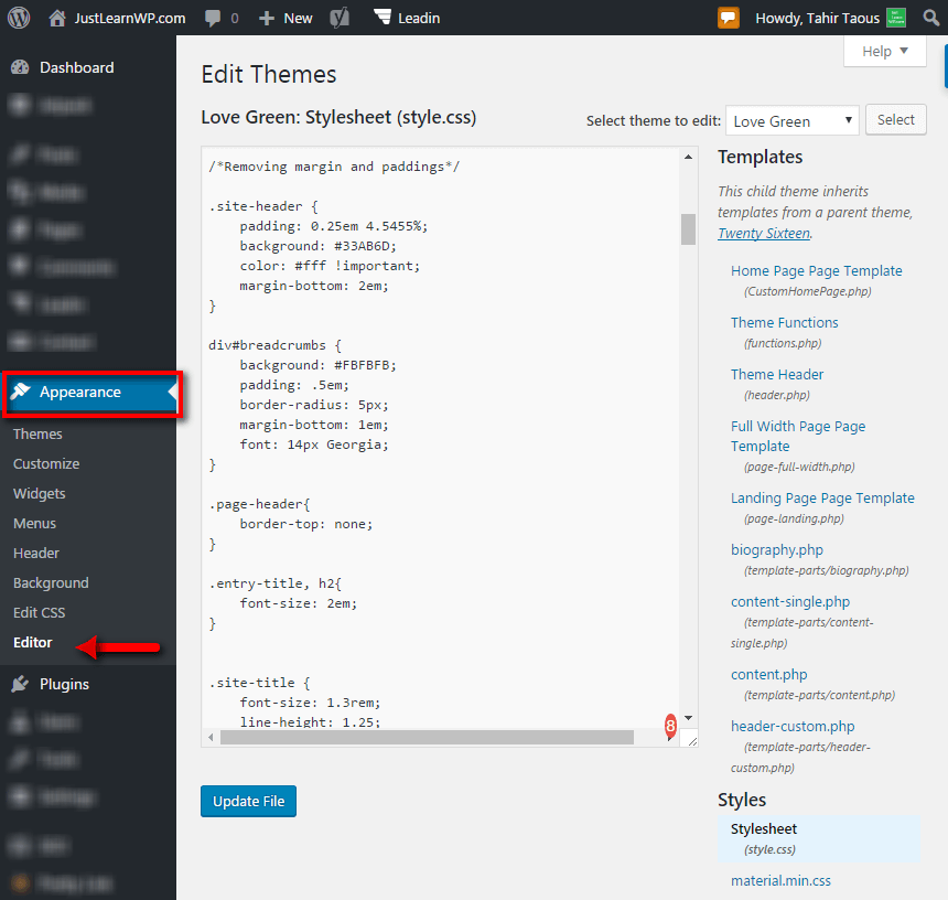 editor di temi wordpress