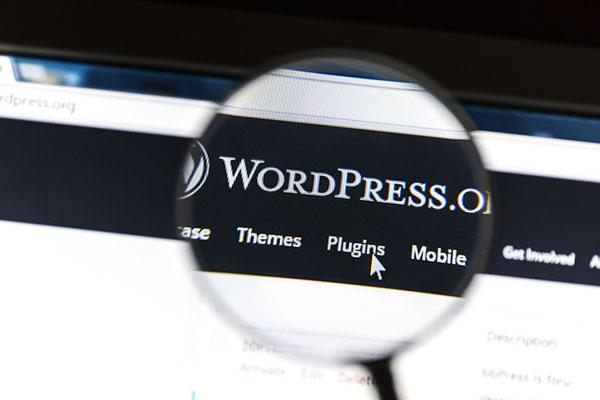 이미지1 WordPress Plugin Responsive