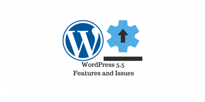 워드프레스 5.5 WordPress 5.5