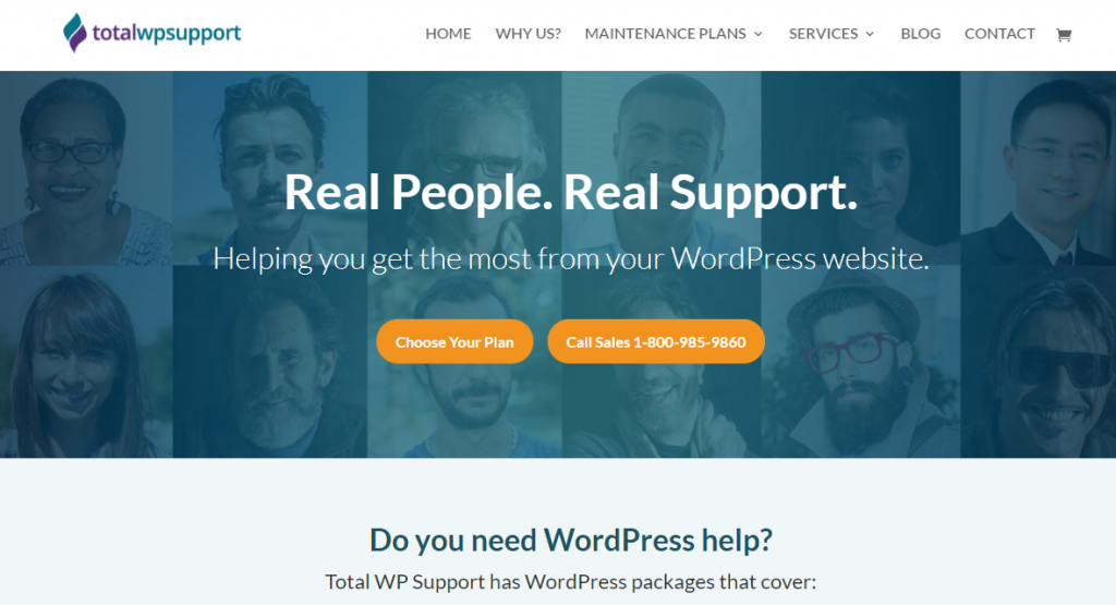 Penyedia Layanan Pemeliharaan WordPress