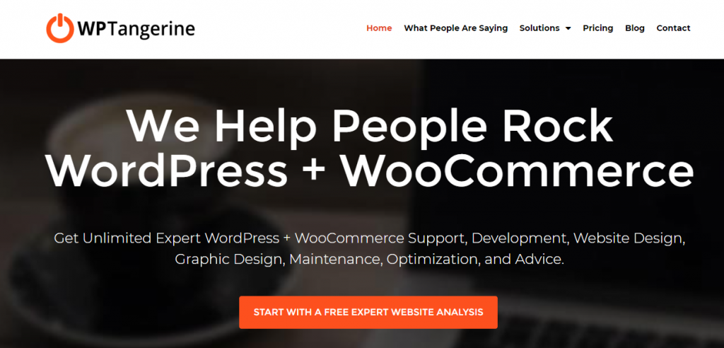 Penyedia Layanan Pemeliharaan WordPress