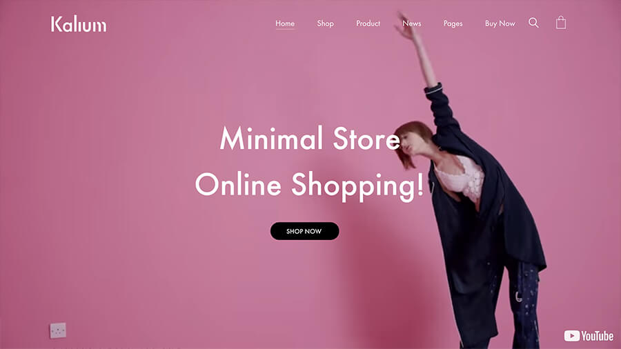 Minimal WordPress Temaları