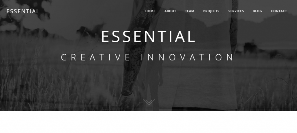 Minimal WordPress temaları