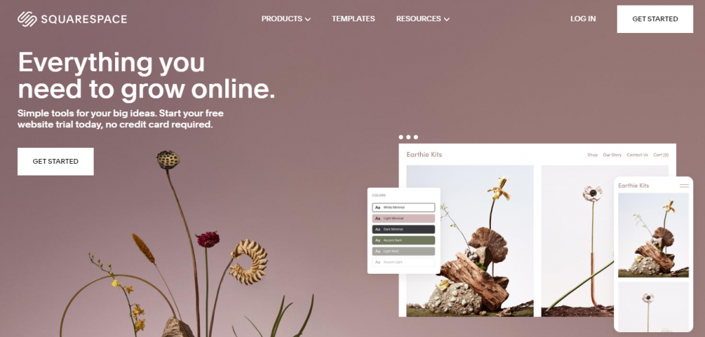 Concurenții Shopify