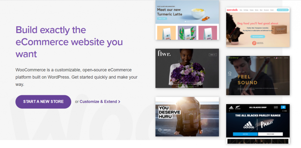 Concurenții Shopify