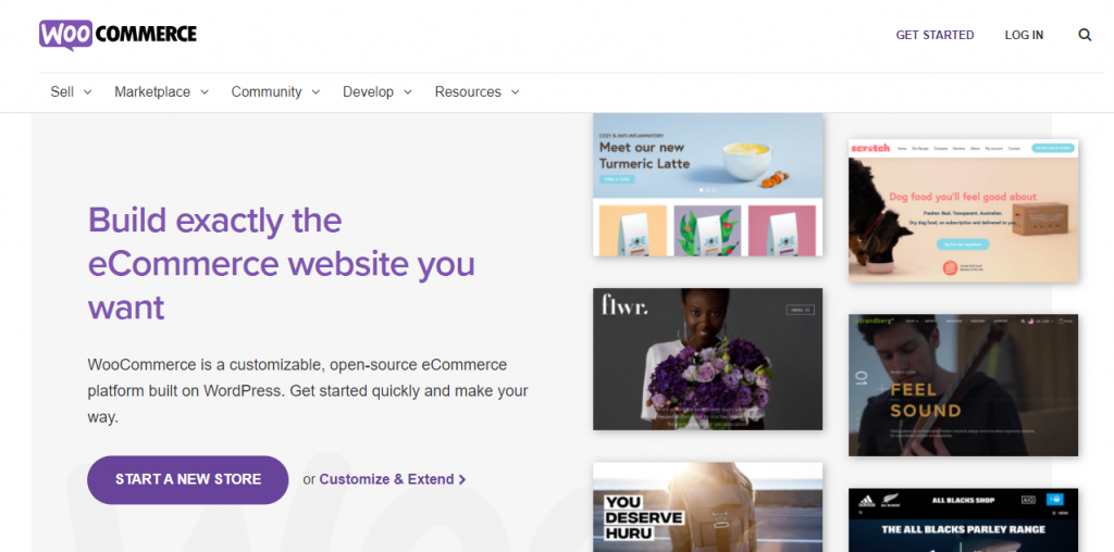 Wix مقابل WordPress