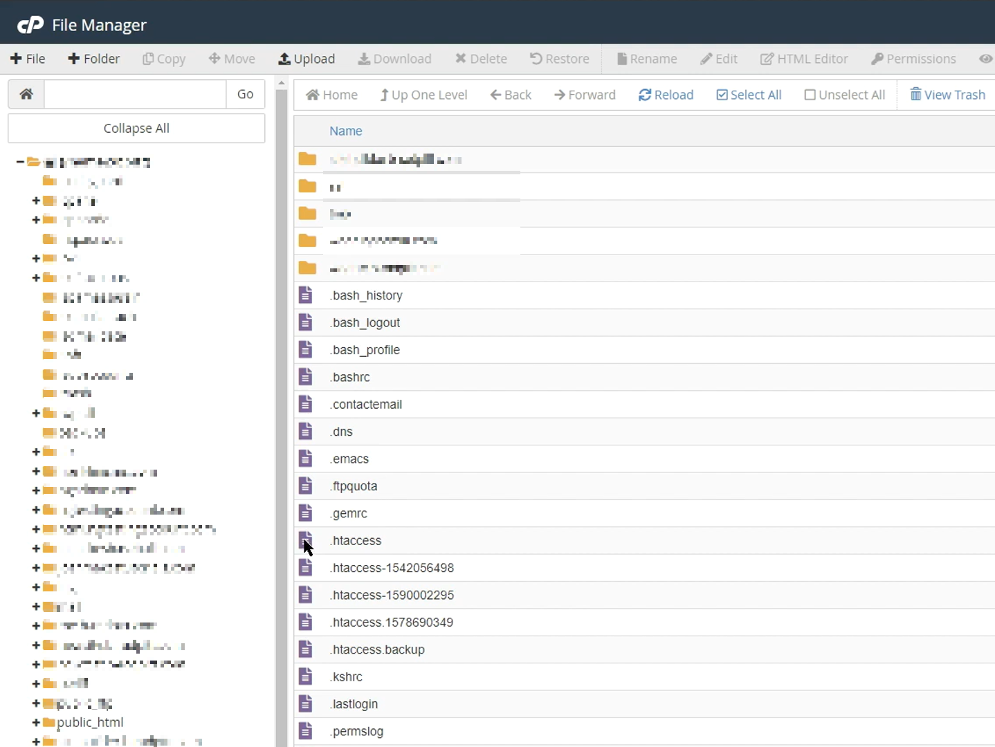 fișierul cpanel .htaccess