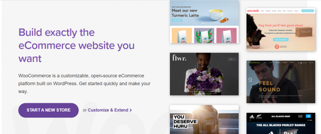 Flusso web vs WordPress