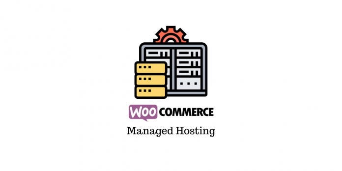 hosting terkelola untuk WooCommerce Managed Hosting Services for WooCommerce