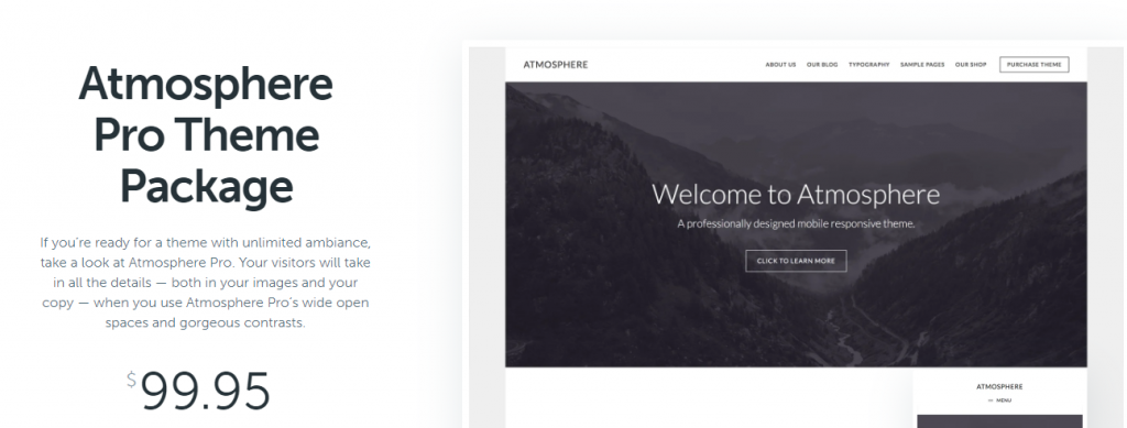 ธีม WordPress สำหรับธุรกิจ