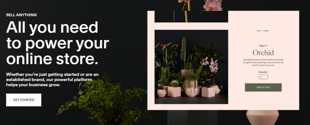 WooCommerce กับ Squarespace