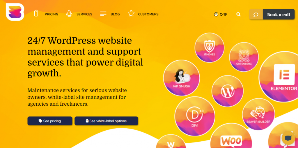 ผู้ให้บริการบำรุงรักษา WordPress