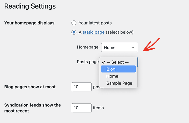 assign-homepage-displays-settings - SeedProd Assign your pages as the blog page and homepage in WordPress