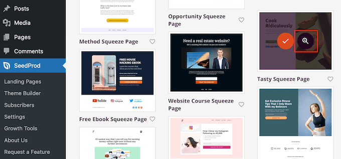 Template yang didesain secara profesional dari SeedProd SeedProd's professionally-designed templates
