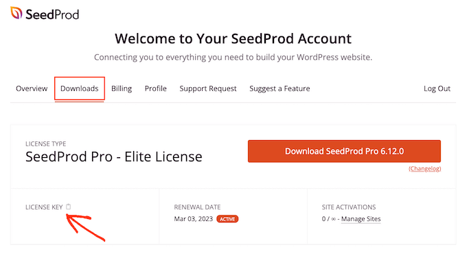 Halaman Unduhan SeedProd The SeedProd Downloads page