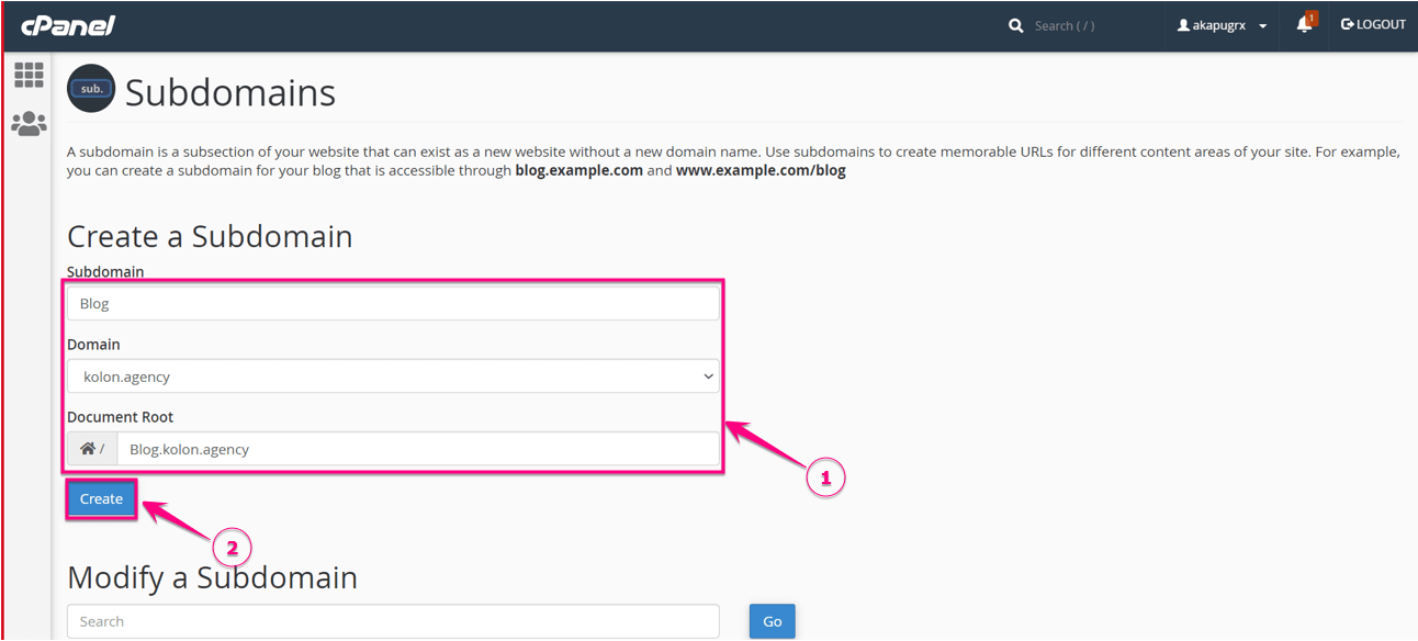 Sitio de prueba de WordPress configurado usando cPanel