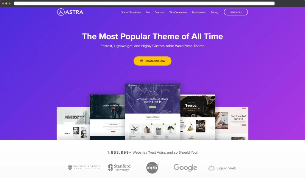 Astra - Thème WordPress le plus vendu