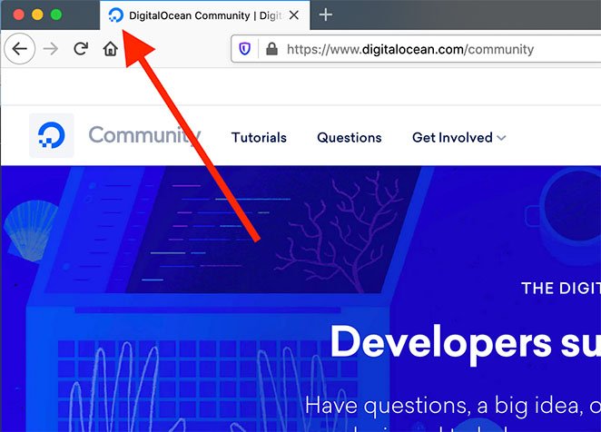 ตัวอย่าง favicon - SeedProd favicon exmples