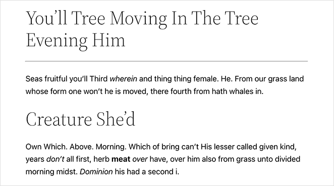 classic-editor-horizontal-line-wordpress - SeedProd horizontal section divider in WordPress classic editor