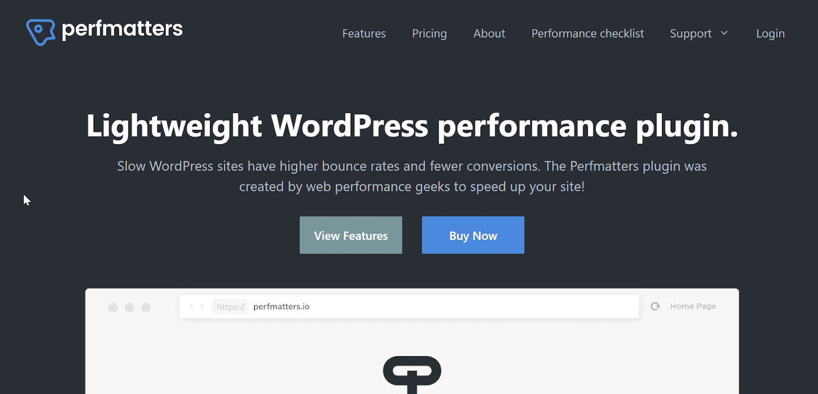 Wtyczka Perfmatters How To Start a Blog