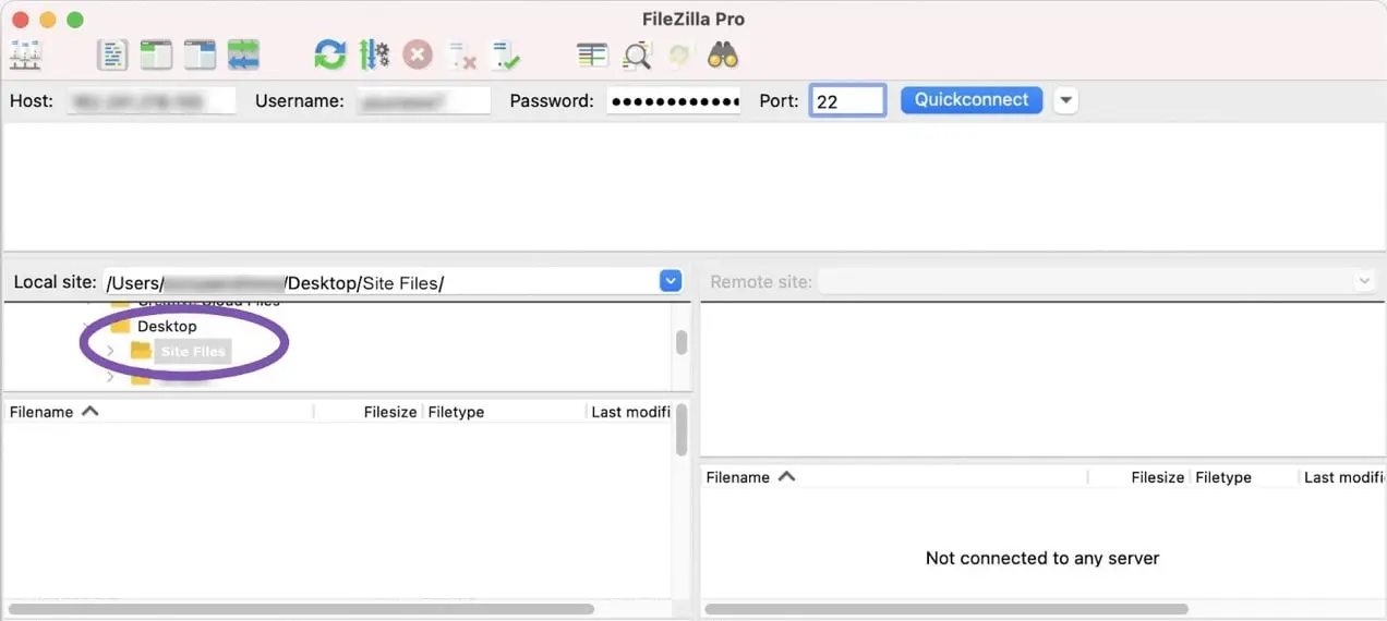 поиск файлов сайта через filezilla