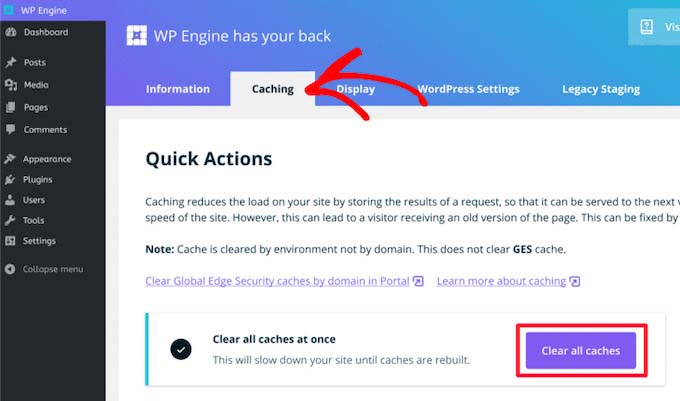 清除 WP Engine 中的緩存