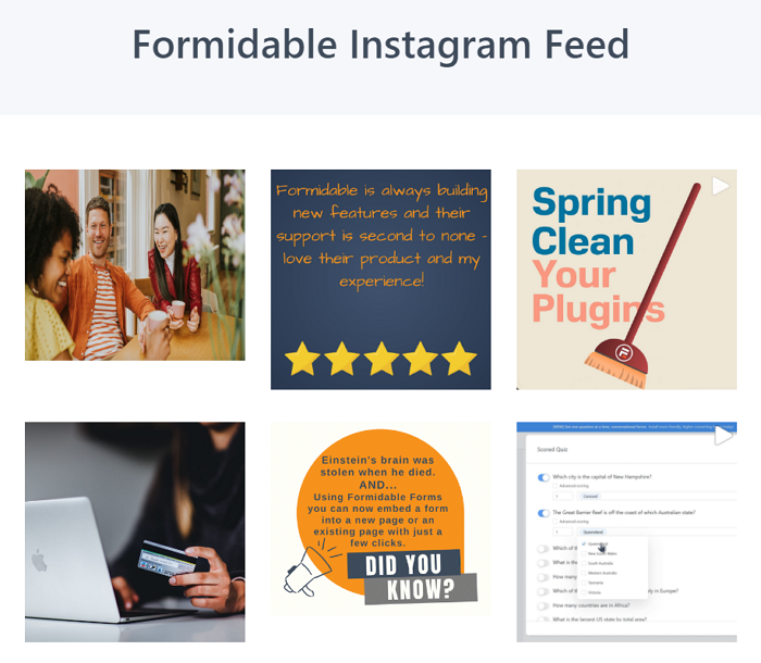 Formidable Forms Instagram Feed 网格的预览