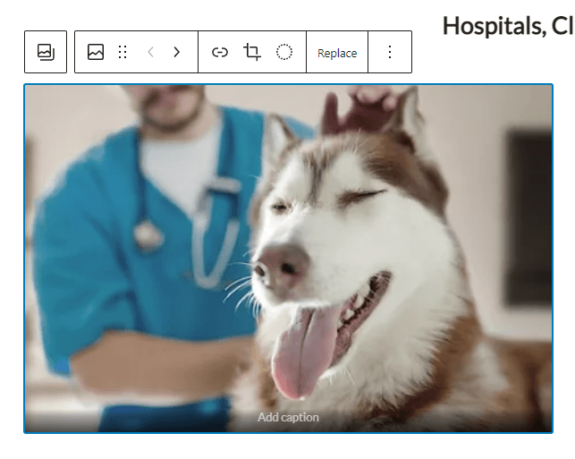 มุมมองโดยละเอียดของตัวเลือกการแทนที่รูปภาพใน WordPress