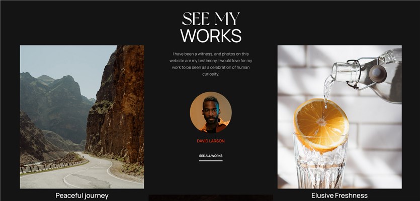 tema wordpress portfolio per i fotografi