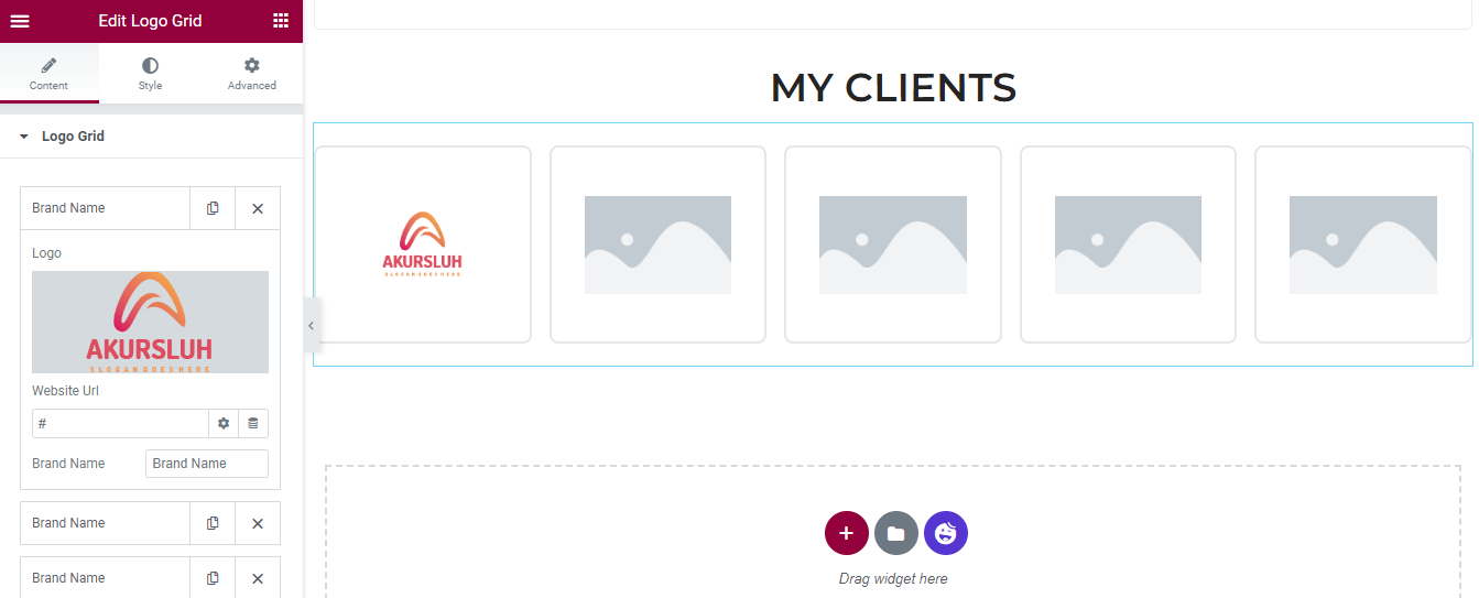 2022'de Sizin İçin En İyi 5 Elementor Portföy Şablonu 16 Manage Logo Grid Content