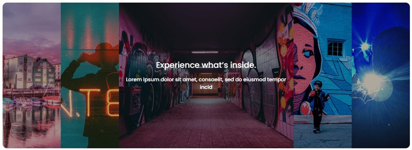 المكونات الأساسية الأكورديون wp البرنامج المساعد